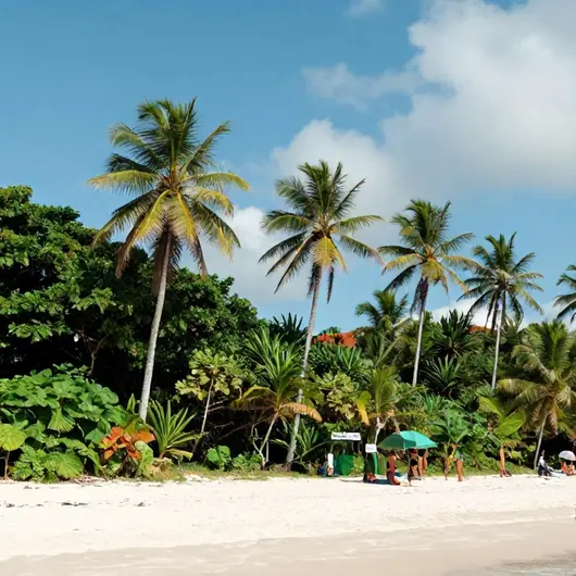 As 7 melhores praias em Rondônia: guia completo