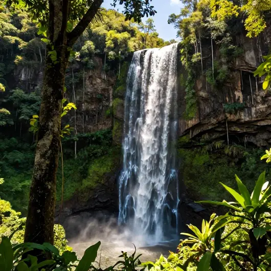 Cachoeira das Araras: Um Paraíso Natural em Rondônia
