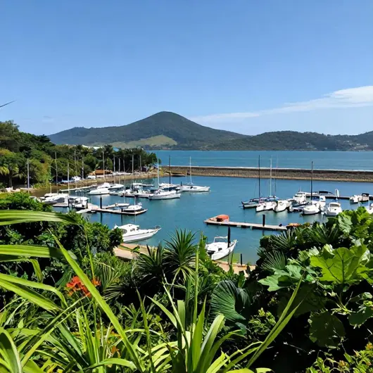 Descubra a Marina Confiança