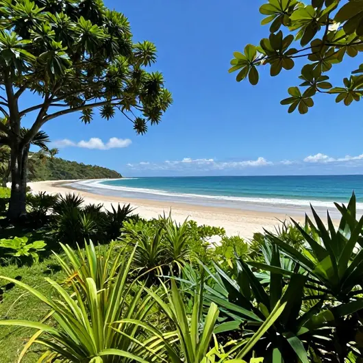 Descubra a Praia De Catarina Rondônia
