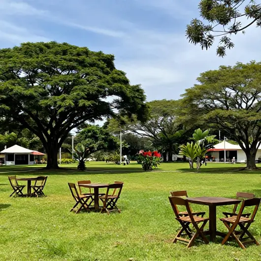 Descubra o Park Sul PVH