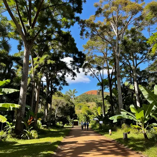Descubra o Parque Natural Raimundo Paraguassu
