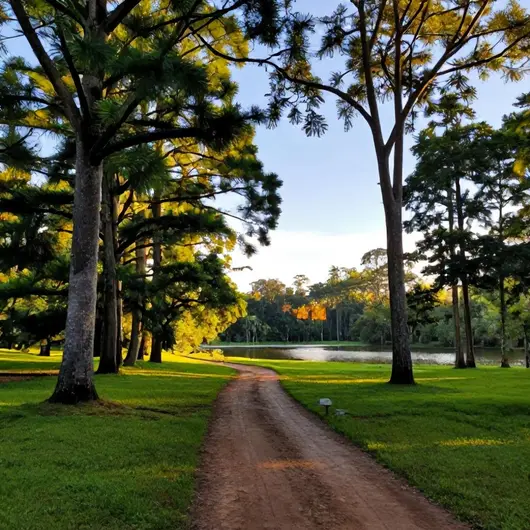 Descubra o Selva Park