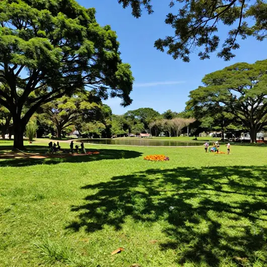 Explorando o Parque da Cidade Porto Velho