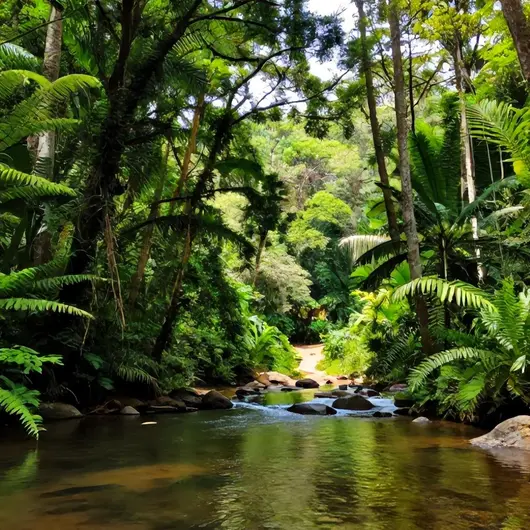Explorando o Parque Estadual de Guajará-Mirim