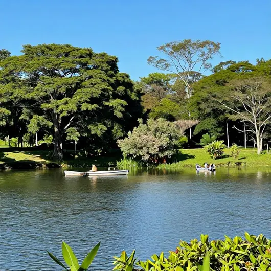 Lagoa do Parque Sabiá