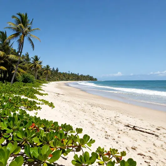 Praia do Curralinho: O Paraíso Escondido em Rondônia