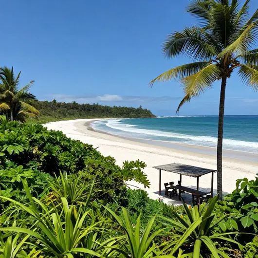 Praia Sucos e Delícias Naturais: Um Paraíso de Sabor e Natureza