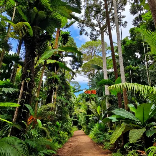 Top 5 lugares para fotos e vídeos em Rondônia