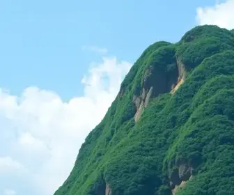 site do governo de Rondônia